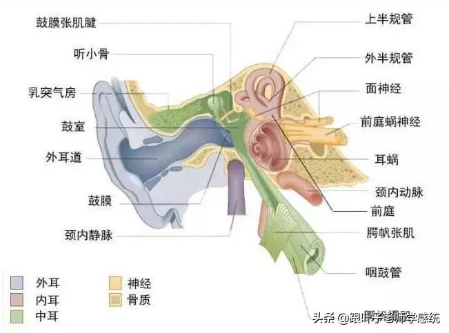 感統訓練坐獨角椅_感統訓練單腿椅_椅子練腿