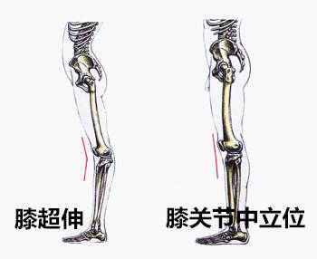 股四頭肌訓練椅_股四頭肌訓練椅注意事項_股四頭肌訓練椅子