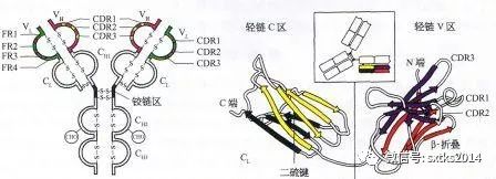 什么是身體機能_機身體是什么意思_身體機能是啥