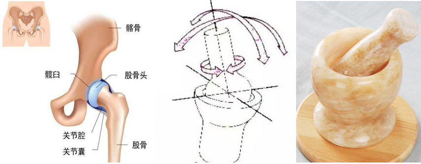 髖關節訓練椅_髖關節訓練器_髖關節坐姿