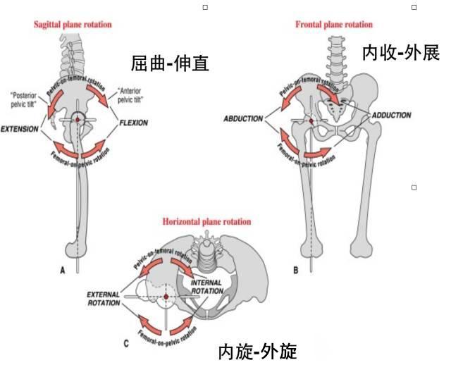 髖關節訓練器_髖關節坐姿_髖關節訓練椅