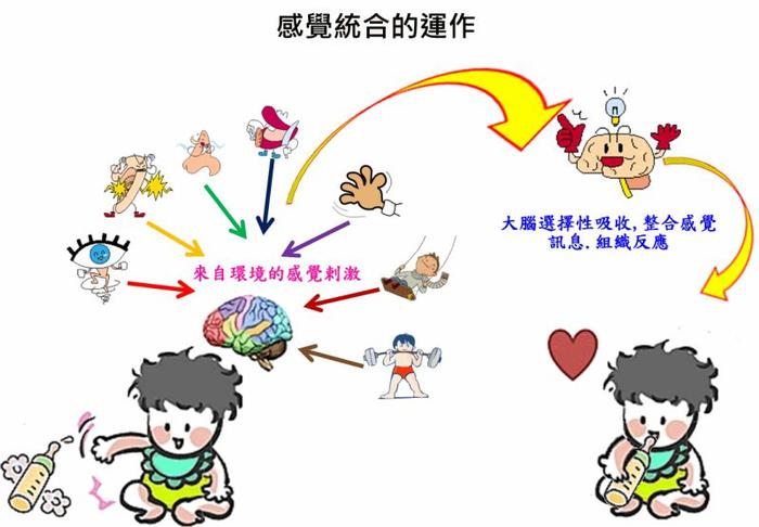 感統(tǒng)訓(xùn)練單腿椅_椅子練腿_感統(tǒng)課獨(dú)腳凳的目的