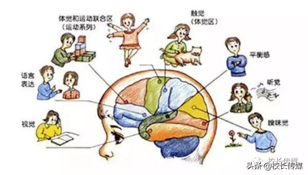 感統(tǒng)訓(xùn)練單腳站立_椅子練腿_感統(tǒng)訓(xùn)練單腿椅
