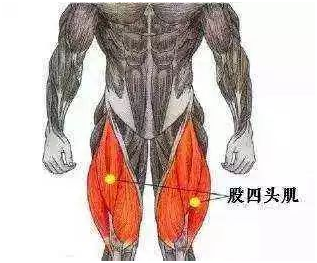 股四頭肌訓練椅子_股四頭肌訓練椅使用方法_股四頭肌訓練椅