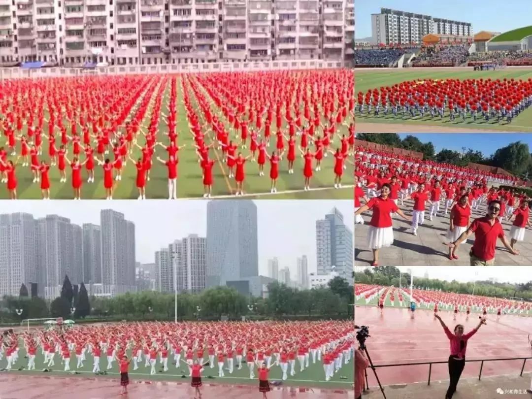 廣場舞鳳凰飛教學(xué)_廣場舞鳳凰飛分解動作_廣場舞鳳凰飛舞