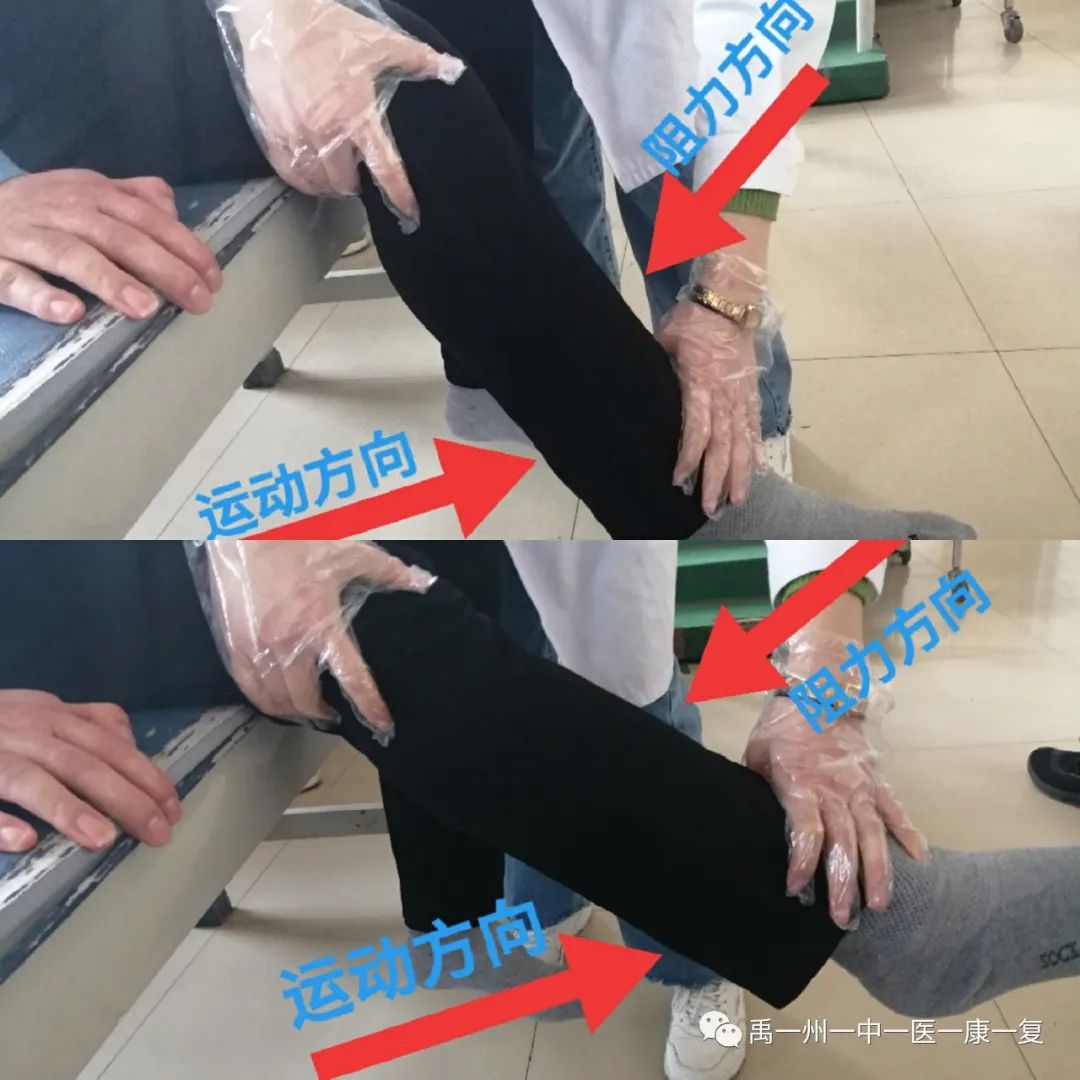 股四頭肌訓(xùn)練椅使用方法_股四頭肌訓(xùn)練椅_股四頭肌訓(xùn)練椅安裝步驟